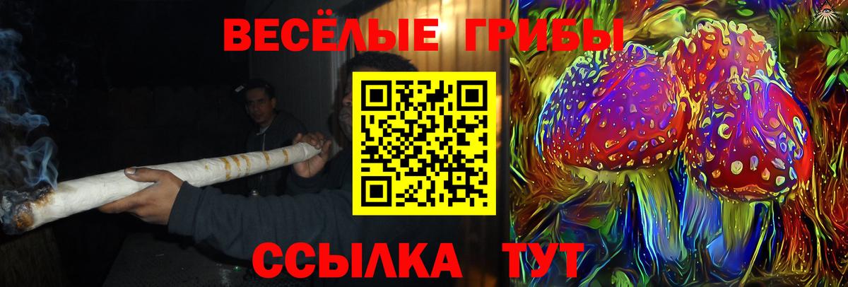Дмитров  Псилоцибиновые грибы Psilocybe  Вход с VPN  Галлюциногенные грибы мухоморы 