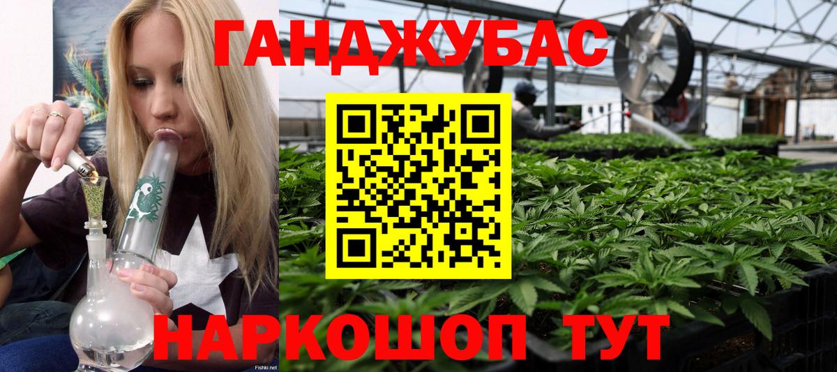 ГАШ Дмитров